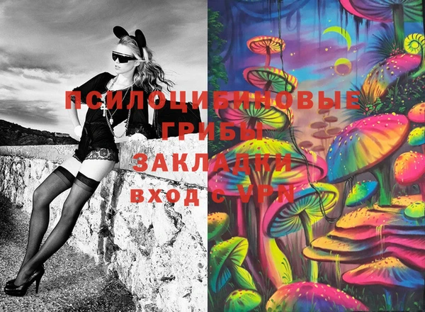 твердый Арсеньев